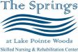 The Springs at Lake Pointe Woods